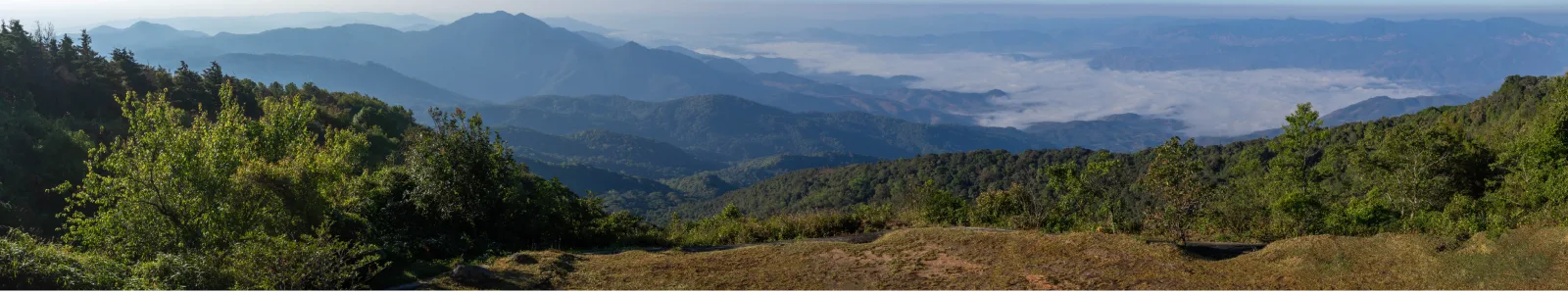 Serene landscape banner image for the About page