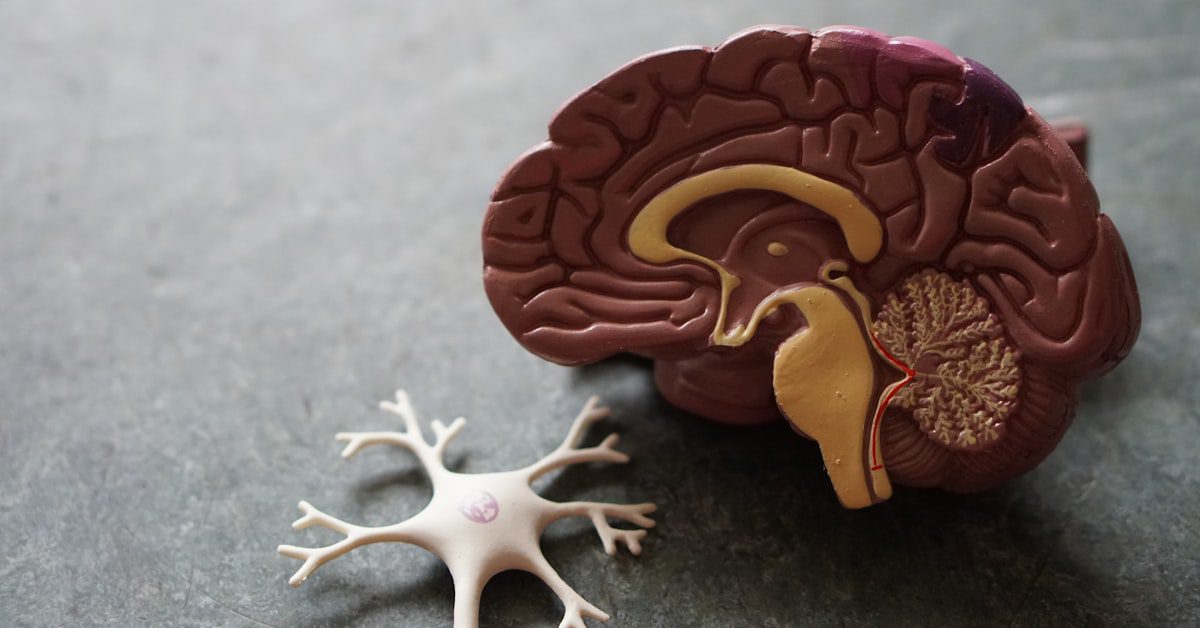 Mind-body connection illustration representing somatoform disorder understanding